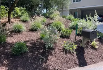 landscaping